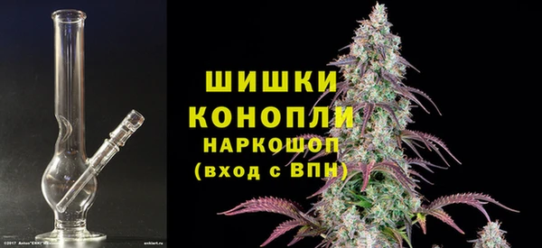 стафф Медногорск