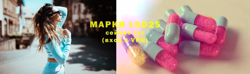 ЛСД экстази ecstasy  Каргополь 