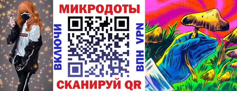 Псилоцибиновые грибы Psilocybe  закладки  Каргополь 